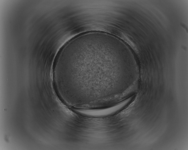 X0000093171028200709261524