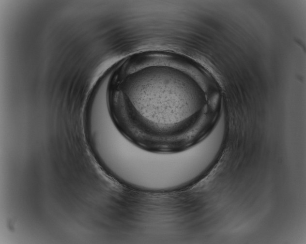 X0000093171030200709261524