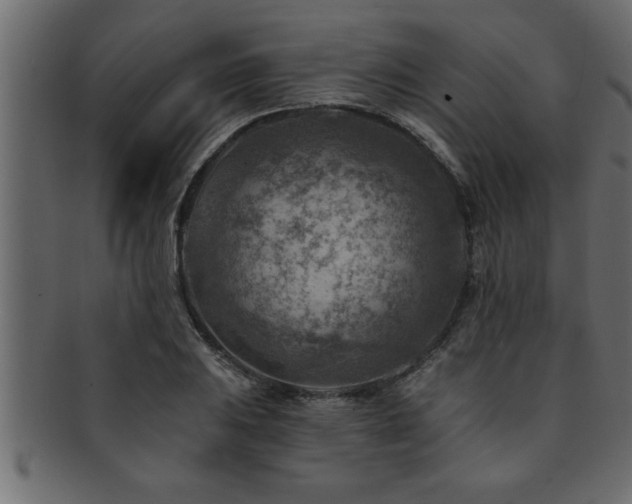 X0000093171031200709261524