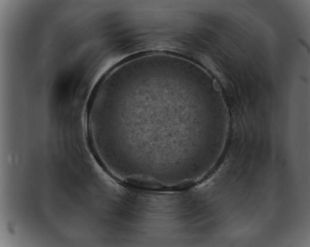 X0000093171032200709261524