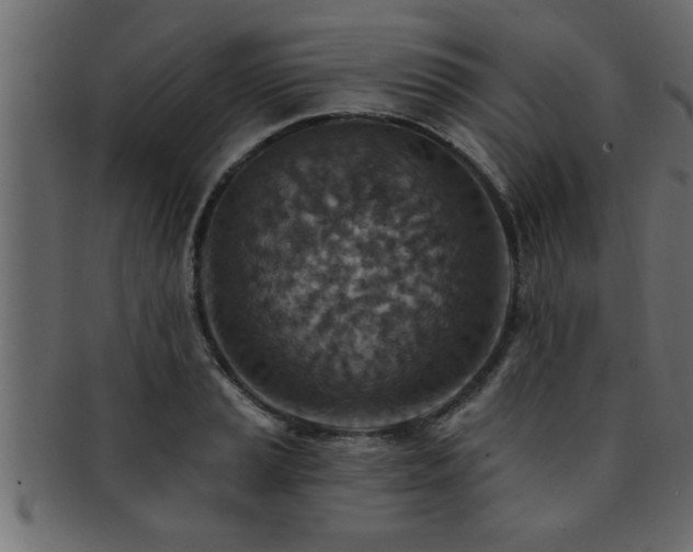 X0000093171037200709261524
