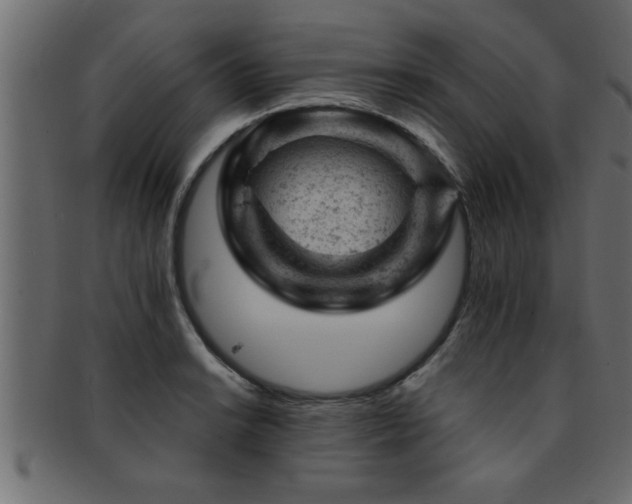 X0000093171038200709261524