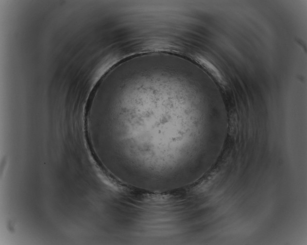 X0000093171039200709261524