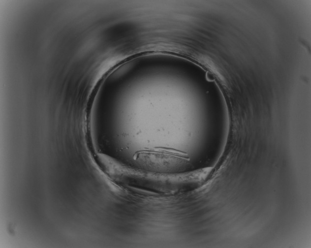 X0000093171040200709261524