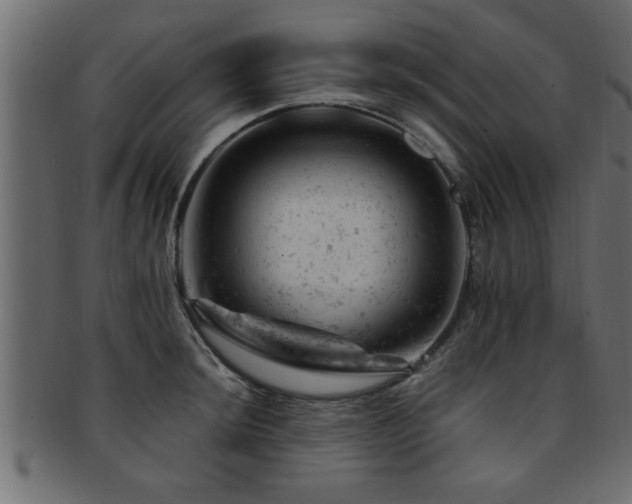 X0000093171044200709261524