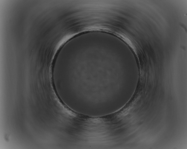 X0000093171045200709261524