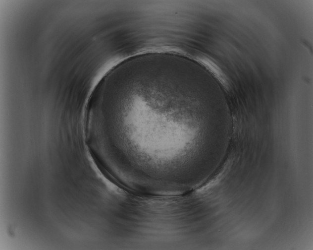 X0000093171046200709261524