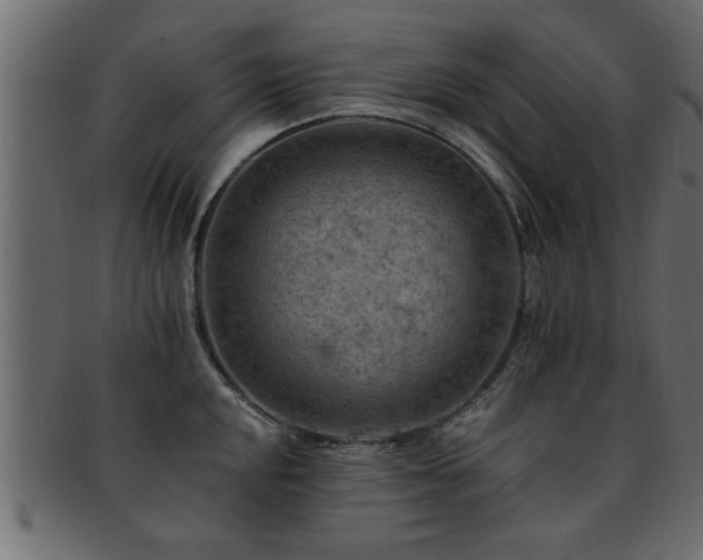X0000093171048200709261524