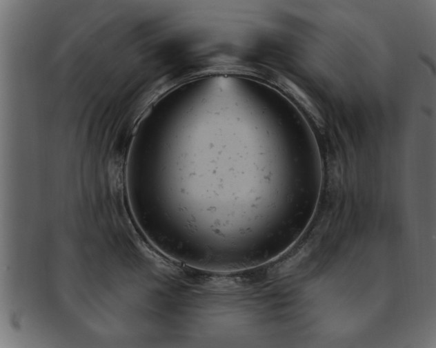 X0000093171049200709261524