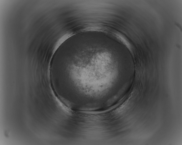 X0000093171050200709261524