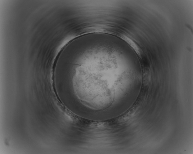 X0000093171051200709261524