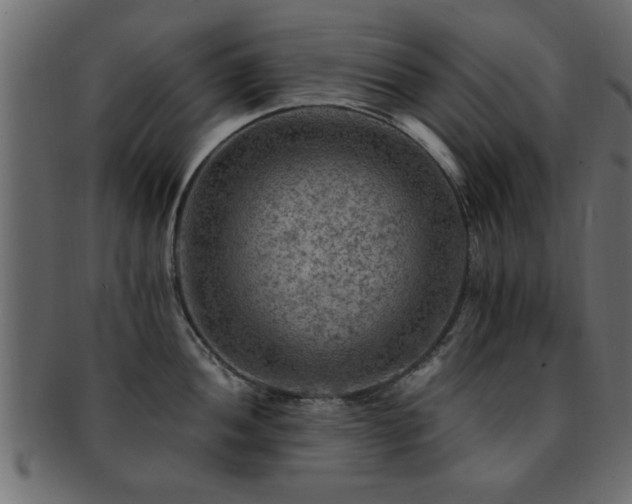 X0000093171052200709261524