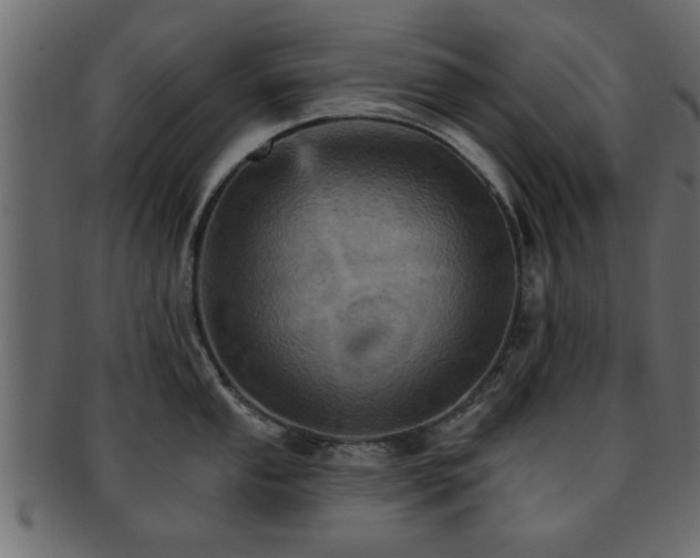 X0000093171053200709261524