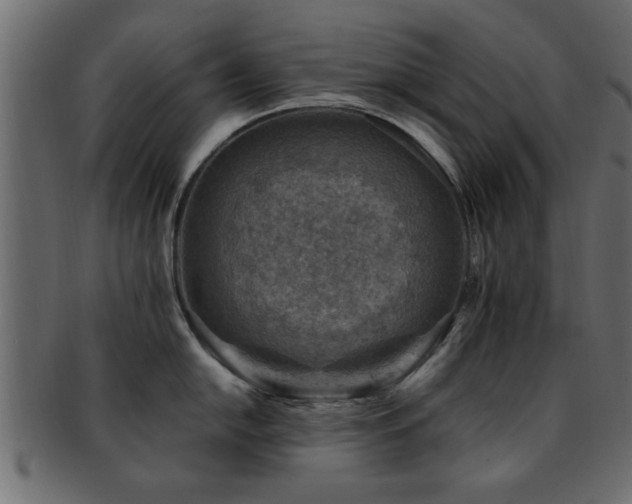 X0000093171054200709261524