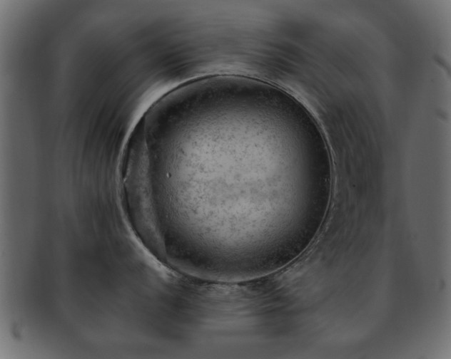 X0000093171056200709261524