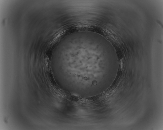 X0000093171059200709261524