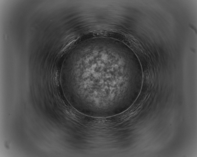 X0000093171060200709261524
