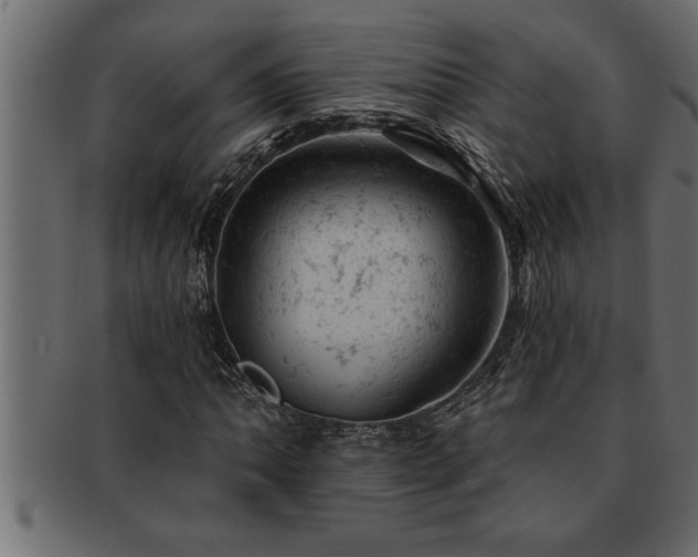 X0000093171062200709261524