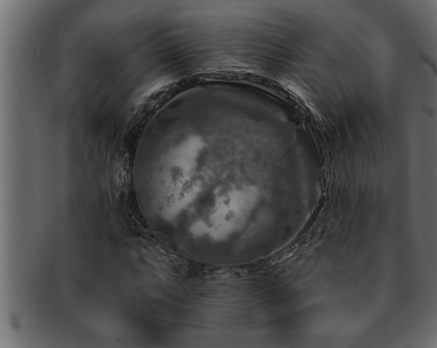X0000093171063200709261524