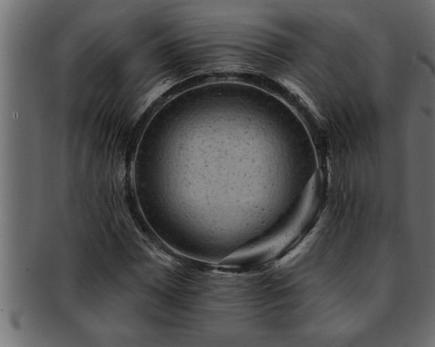 X0000093171065200709261524