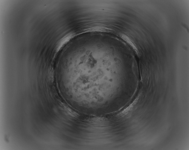 X0000093171067200709261523