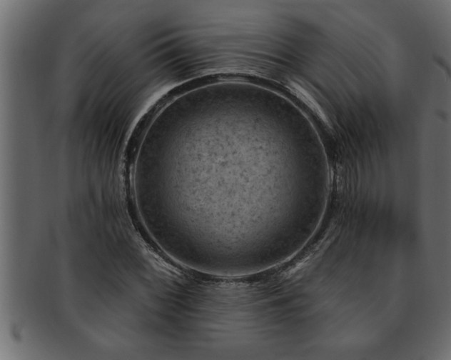 X0000093171068200709261523