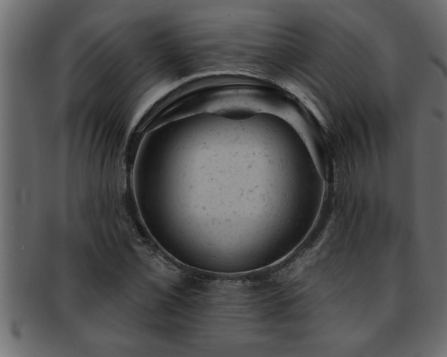 X0000093171069200709261523