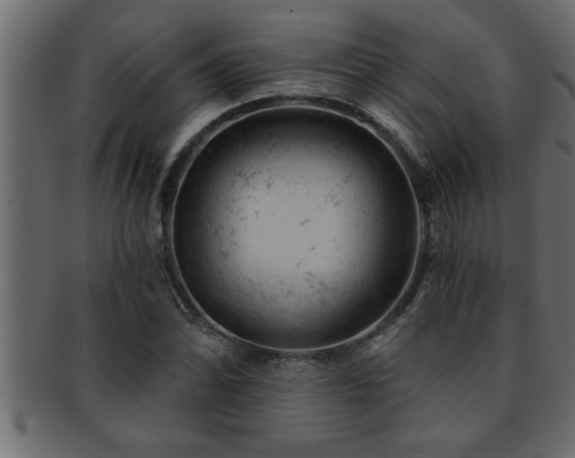X0000093171070200709261523
