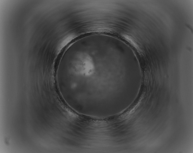 X0000093171071200709261523