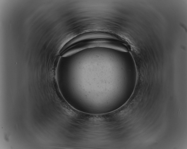 X0000093171073200709261523