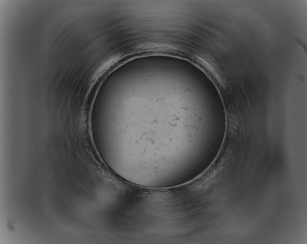 X0000093171074200709261523