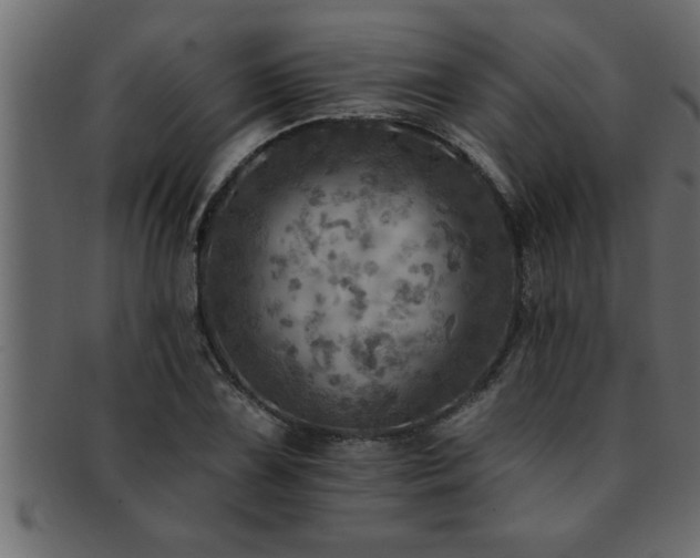 X0000093171075200709261523
