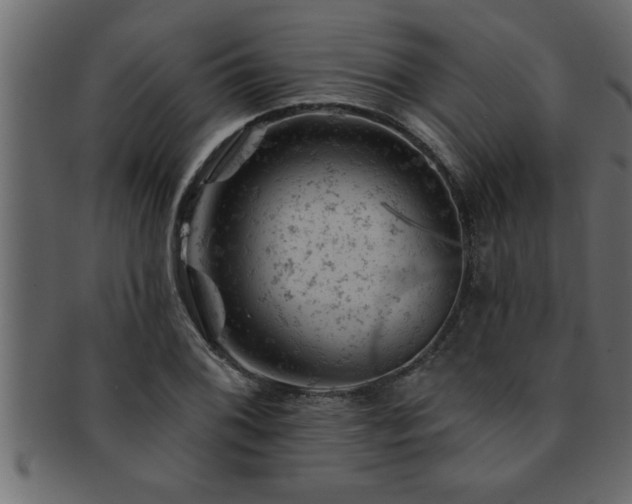 X0000093171076200709261523