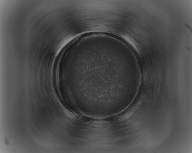 X0000093171077200709261523