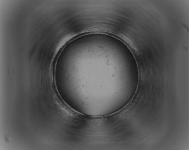 X0000093171078200709261523
