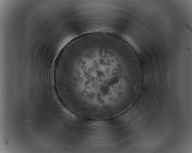 X0000093171079200709261523