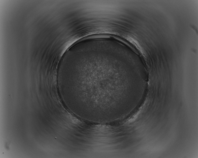 X0000093171081200709261523