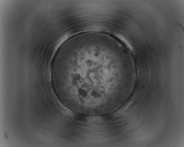 X0000093171083200709261523