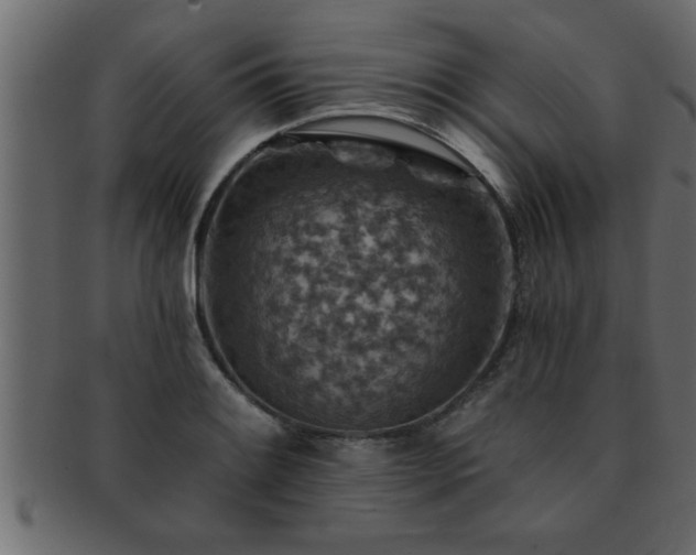 X0000093171084200709261523