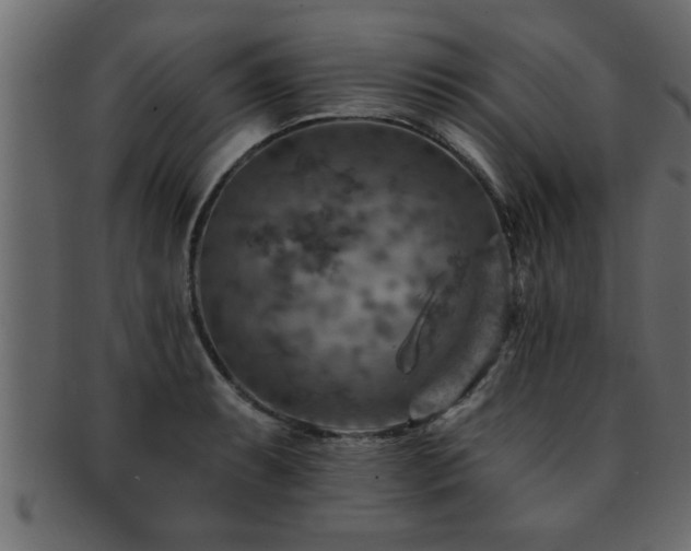 X0000093171087200709261523