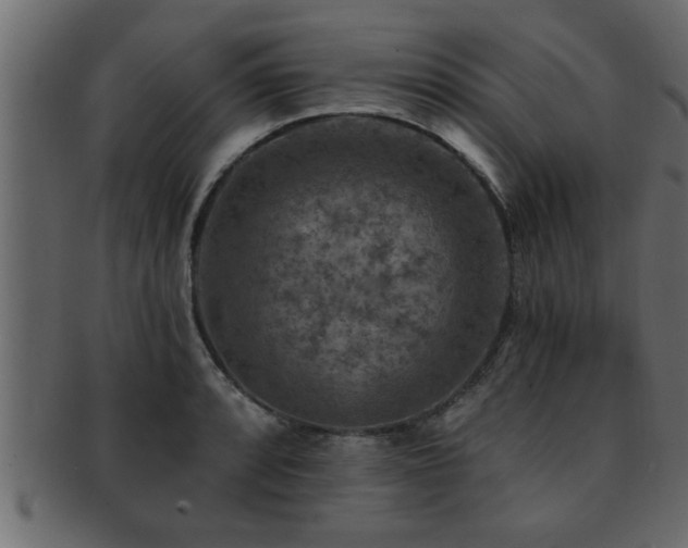 X0000093171088200709261523