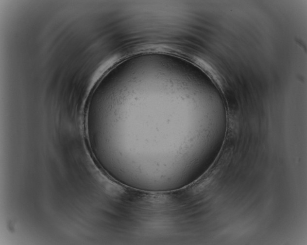 X0000093171090200709261523