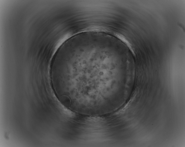 X0000093171091200709261523