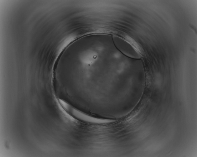 X0000093171095200709261523