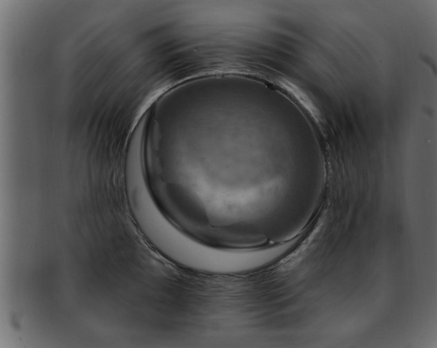 X0000093171097200709261523