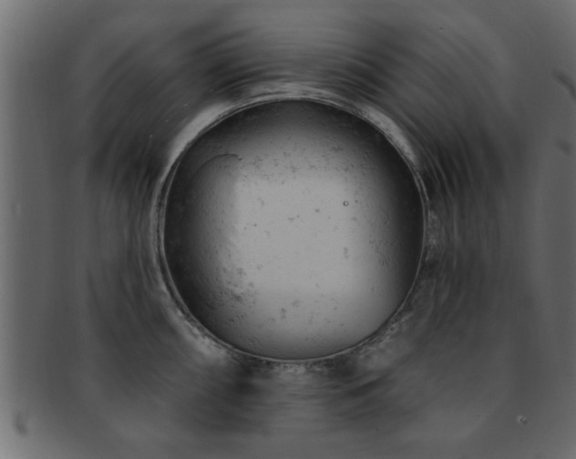 X0000093171098200709261523