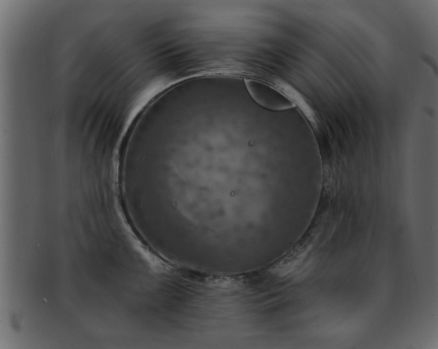 X0000093171099200709261523