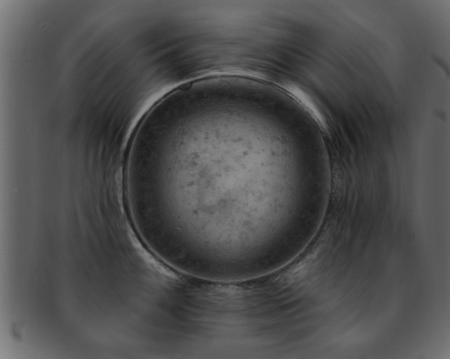 X0000093171100200709261523