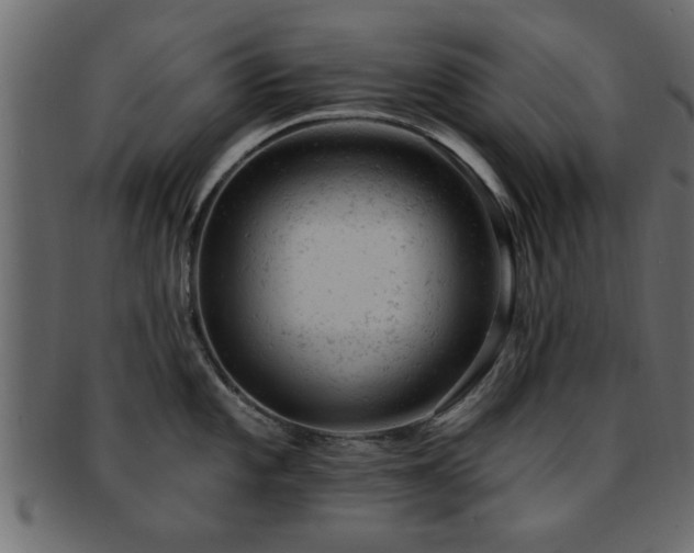 X0000093171101200709261523