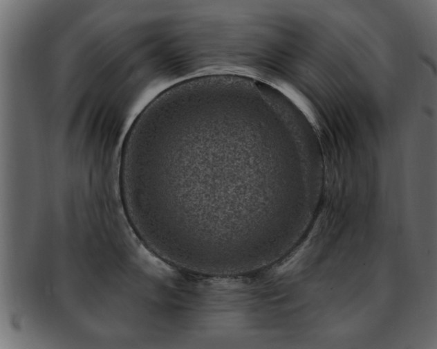 X0000093171102200709261523